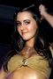 Erica Ellyson bei einer Penthouse-Party in Hollywood, Juni 2008.